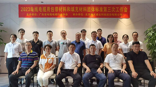 倚天云母承辦2項團體標(biāo)準(zhǔn)修訂工作會于東莞順利舉行